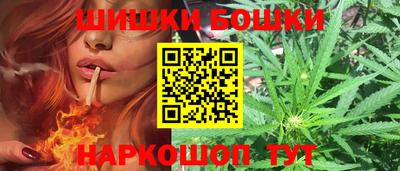 индика Гусь-Хрустальный
