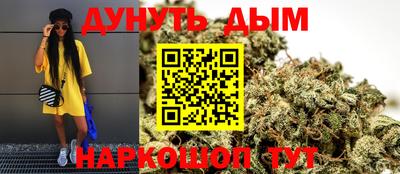 индика Гусь-Хрустальный