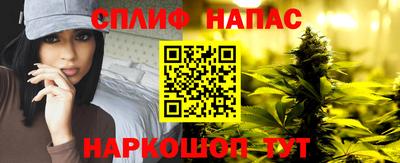 индика Гусь-Хрустальный